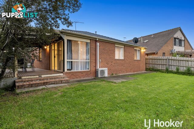 8 Raphael Street HALLAM VIC 3803