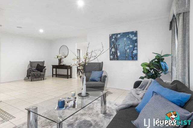 8 Raphael Street HALLAM VIC 3803