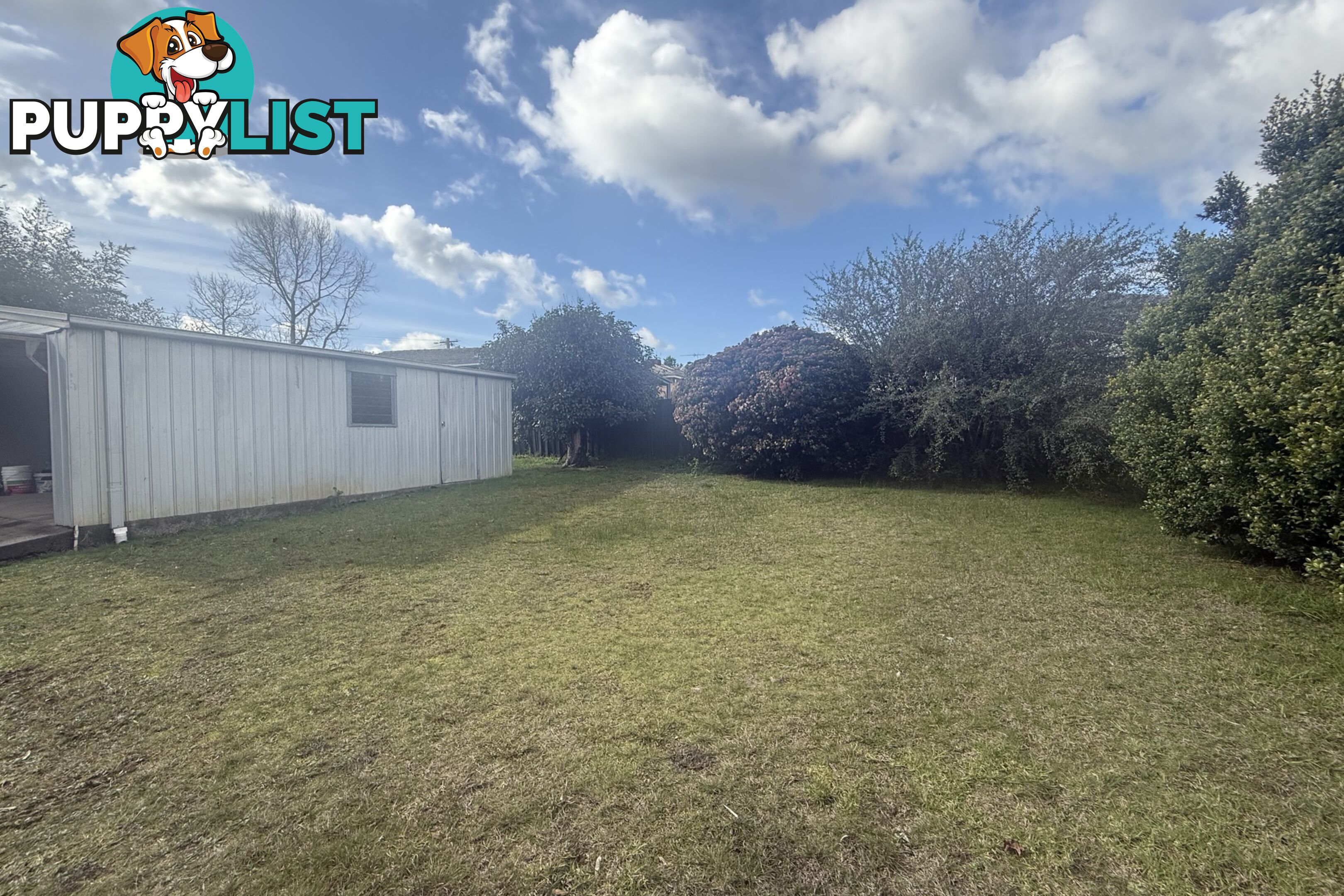 17 Richardson Street NARRE WARREN VIC 3805