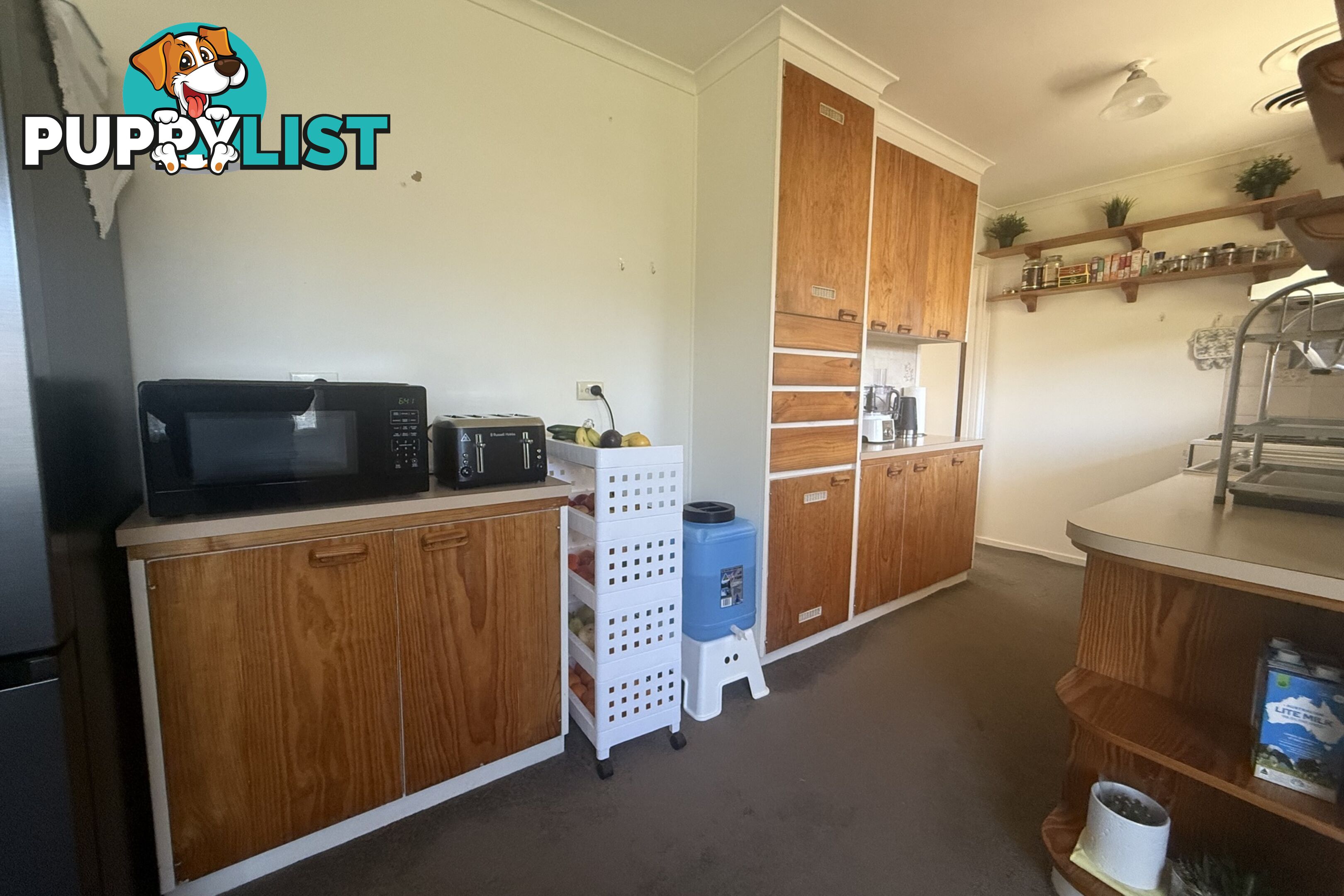 17 Richardson Street NARRE WARREN VIC 3805