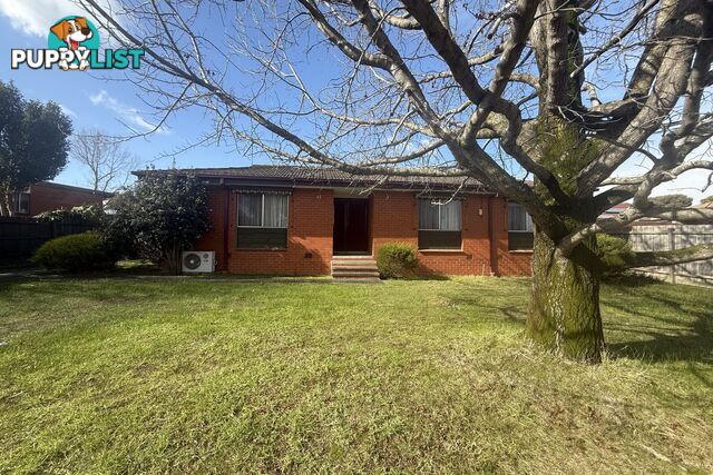 17 Richardson Street NARRE WARREN VIC 3805