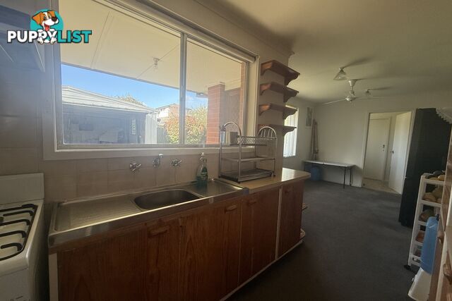 17 Richardson Street NARRE WARREN VIC 3805
