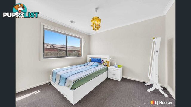 54 Herbert Road CARRUM DOWNS VIC 3201