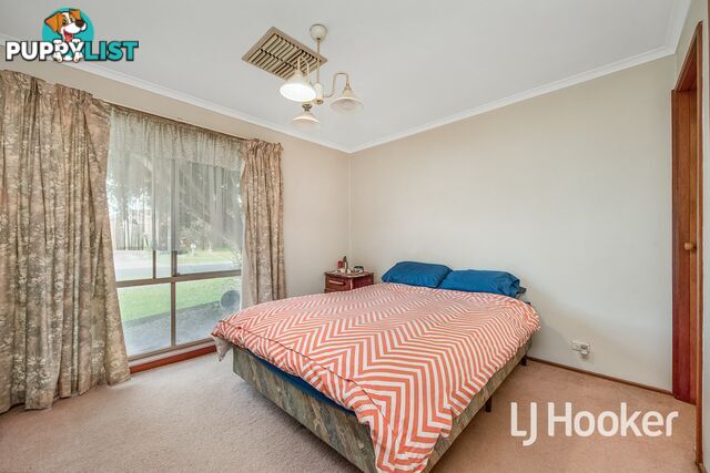 11 Eliza Street CRANBOURNE NORTH VIC 3977