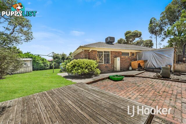 175 Endeavour Drive CRANBOURNE NORTH VIC 3977