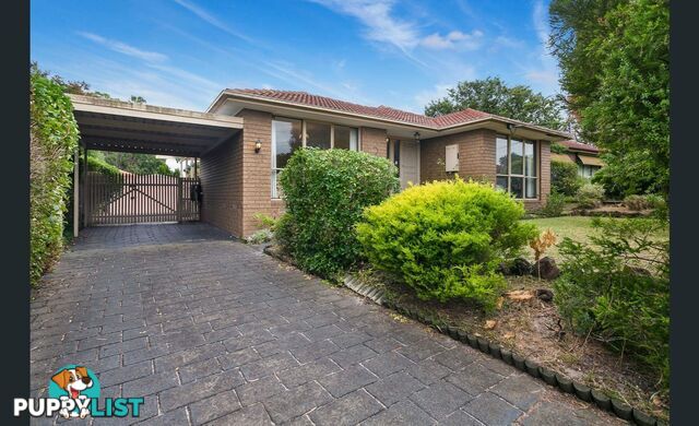 3 Marnebeck Court CRANBOURNE VIC 3977