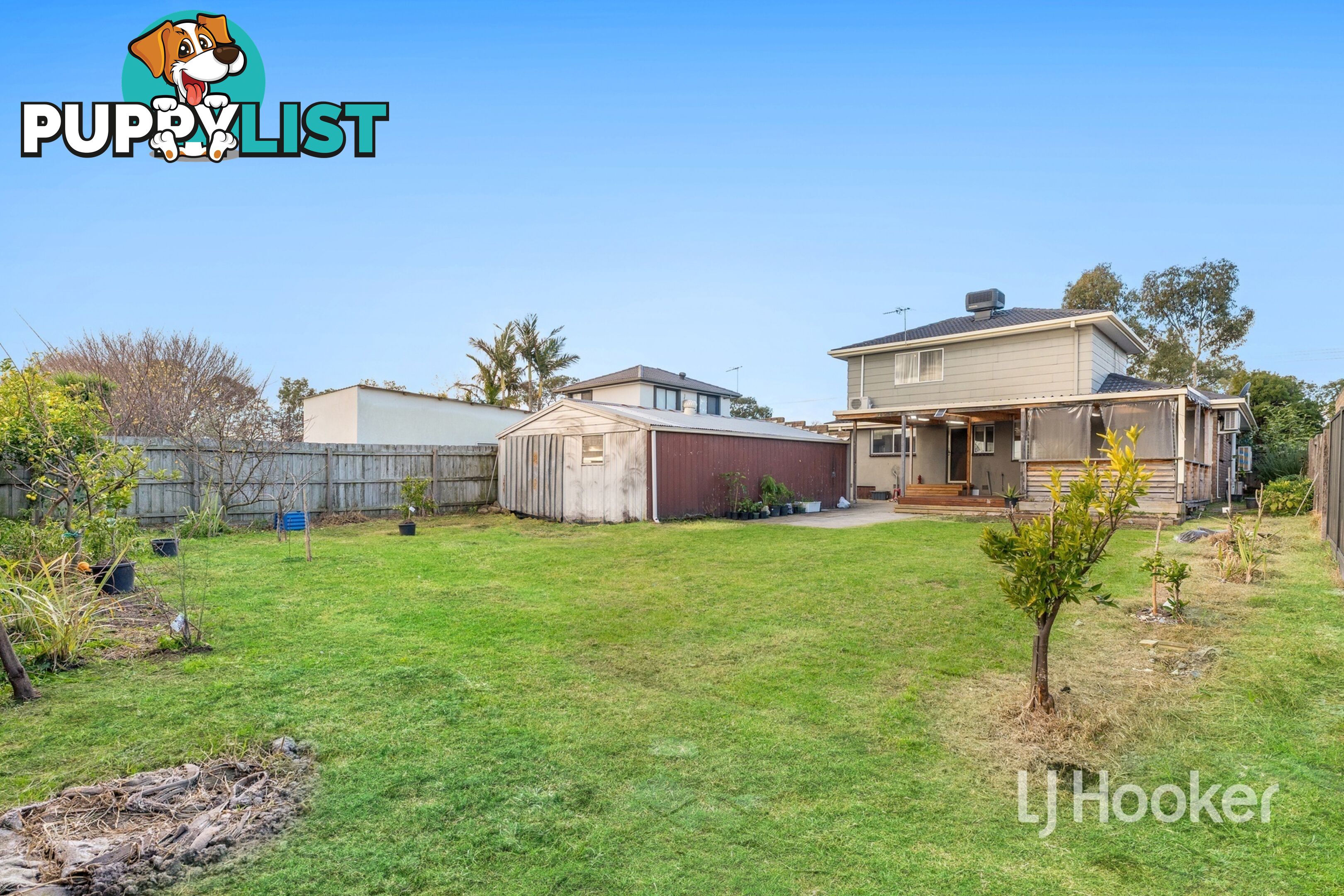 11 Marshall Court HAMPTON PARK VIC 3976