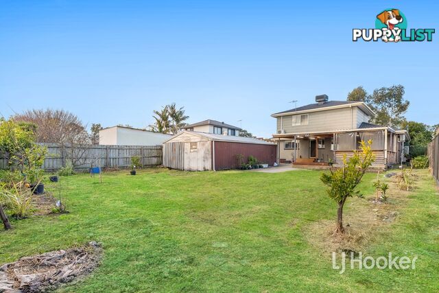 11 Marshall Court HAMPTON PARK VIC 3976