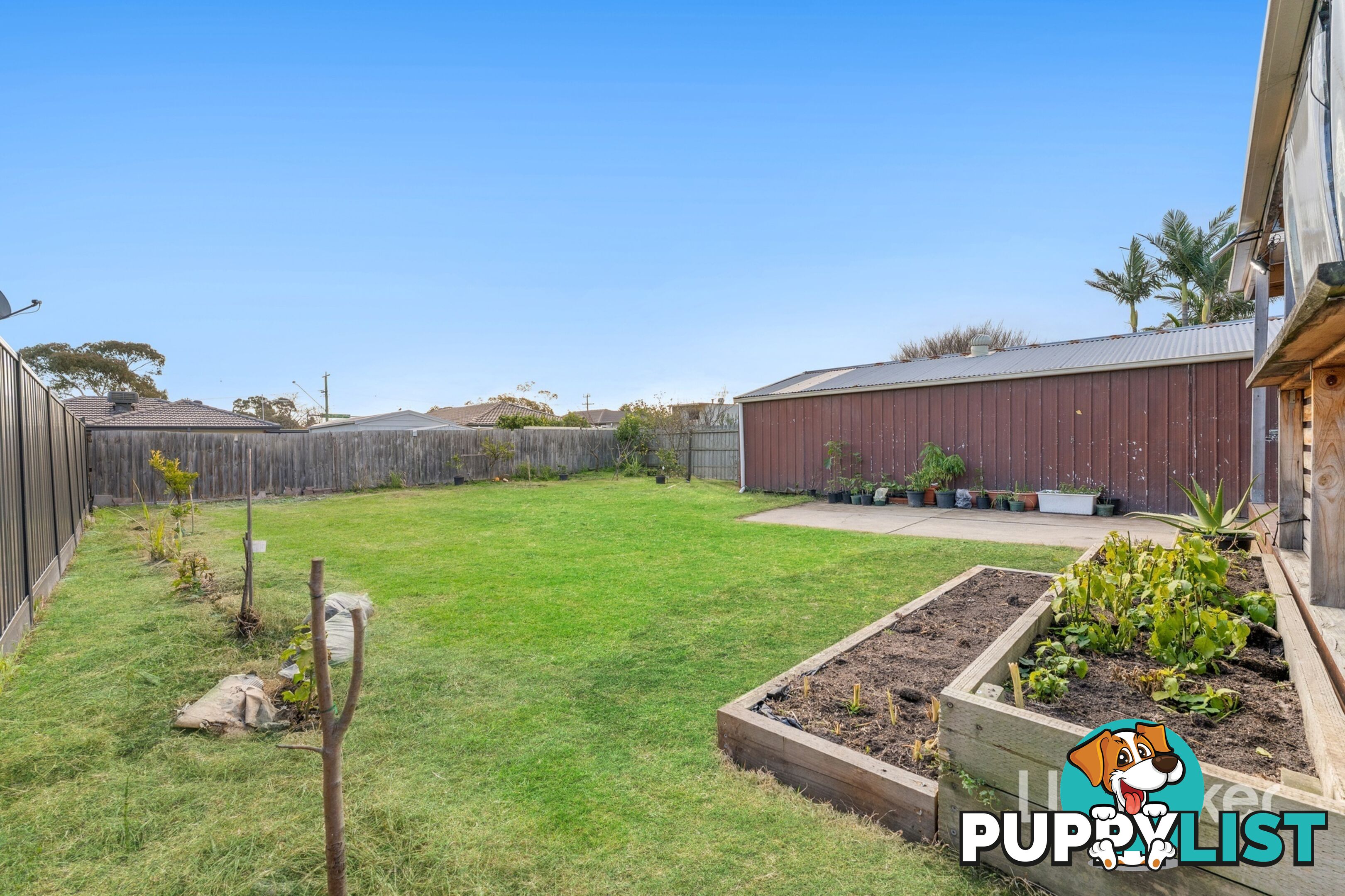 11 Marshall Court HAMPTON PARK VIC 3976