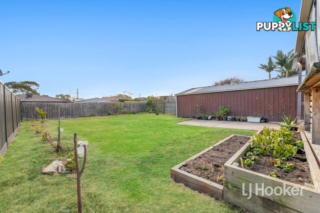 11 Marshall Court HAMPTON PARK VIC 3976