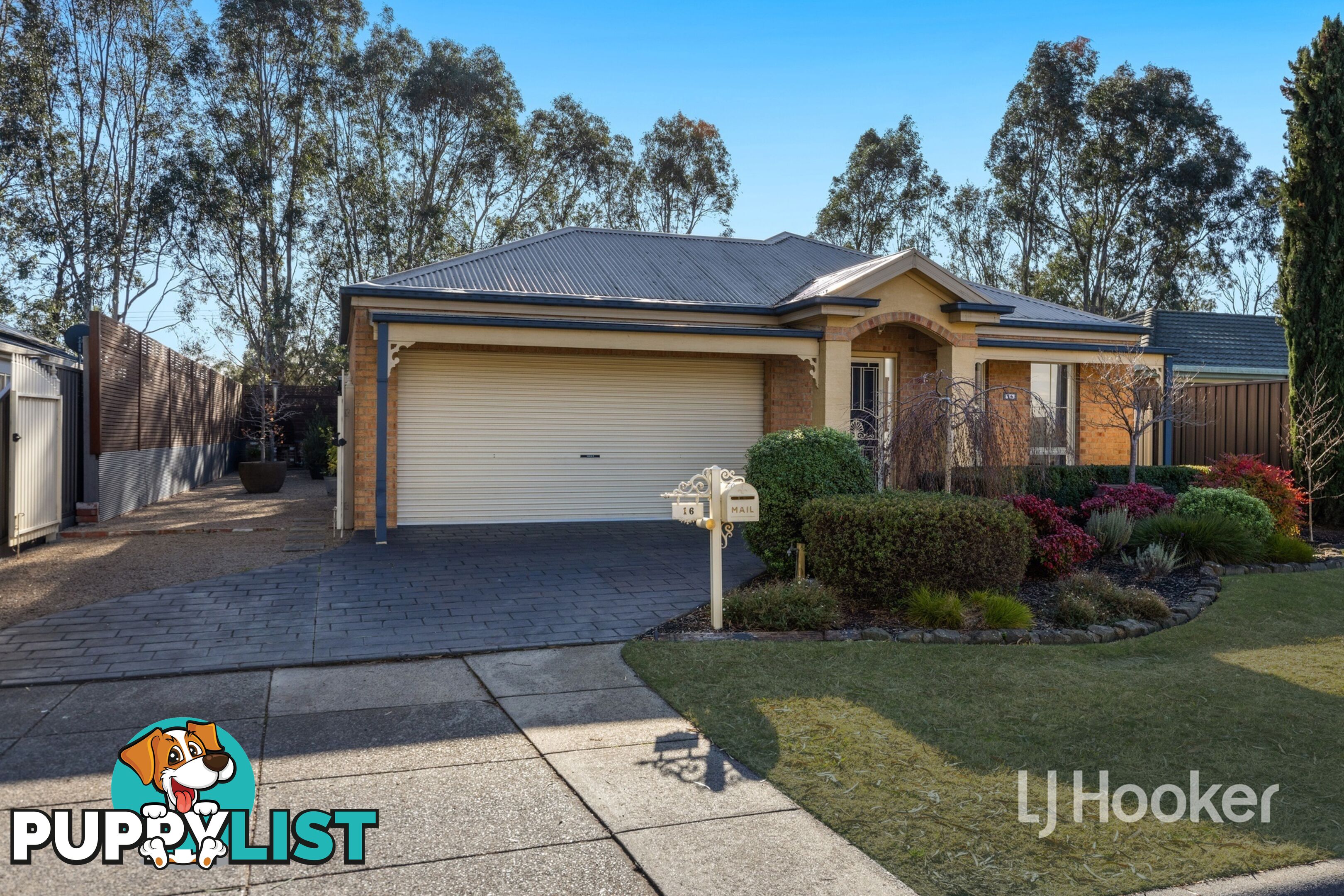 16 Dutton Close LYNBROOK VIC 3975