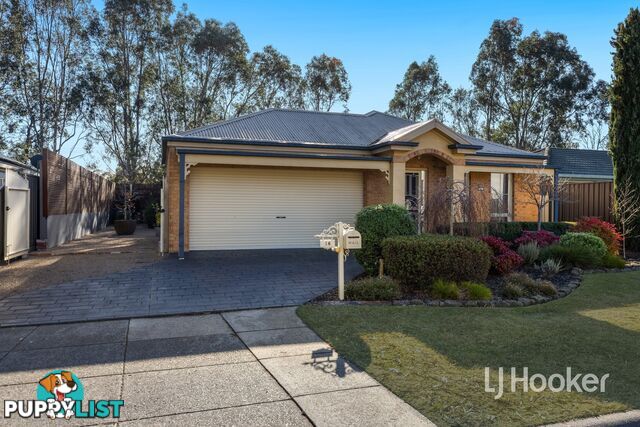 16 Dutton Close LYNBROOK VIC 3975