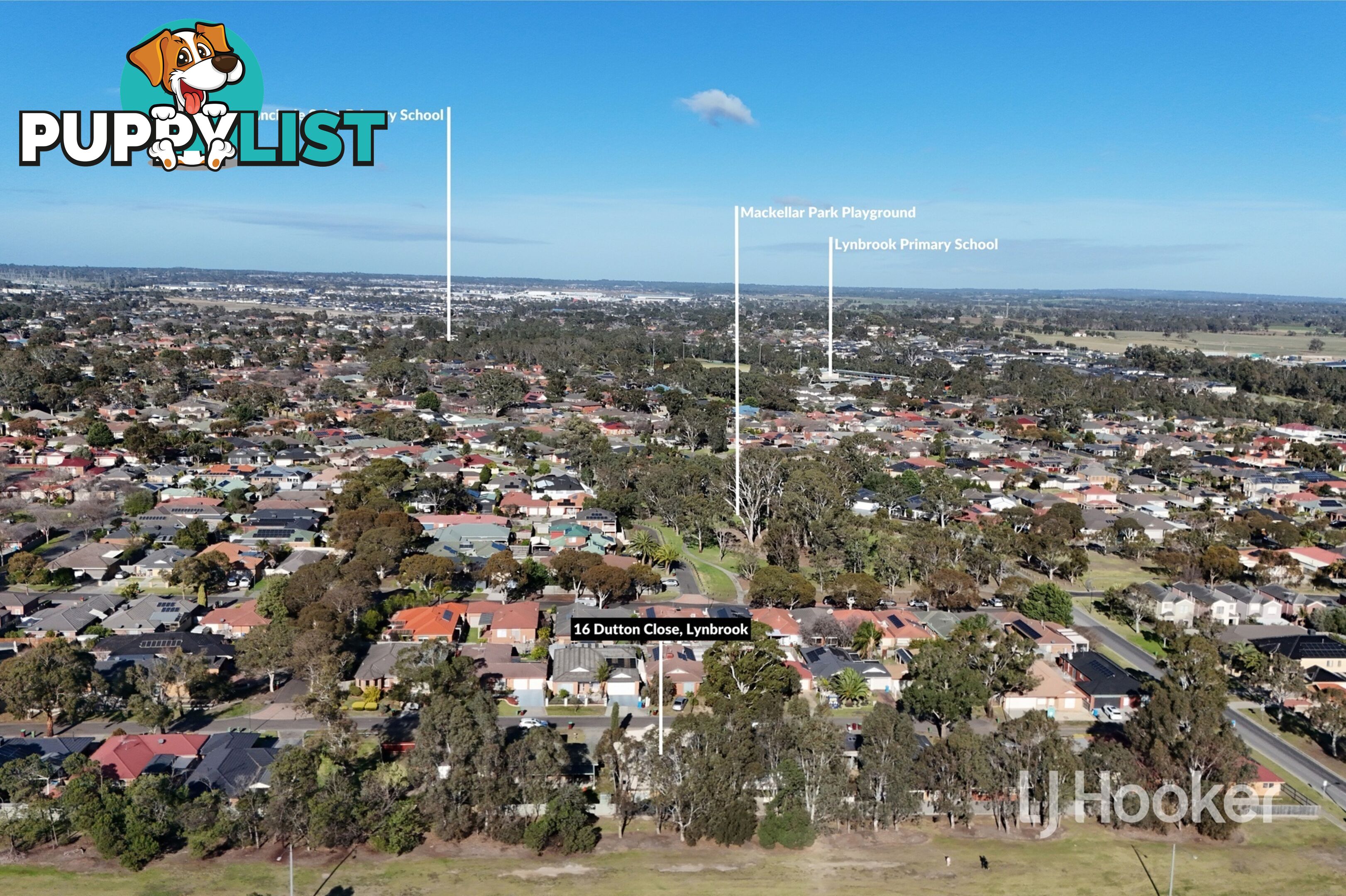 16 Dutton Close LYNBROOK VIC 3975