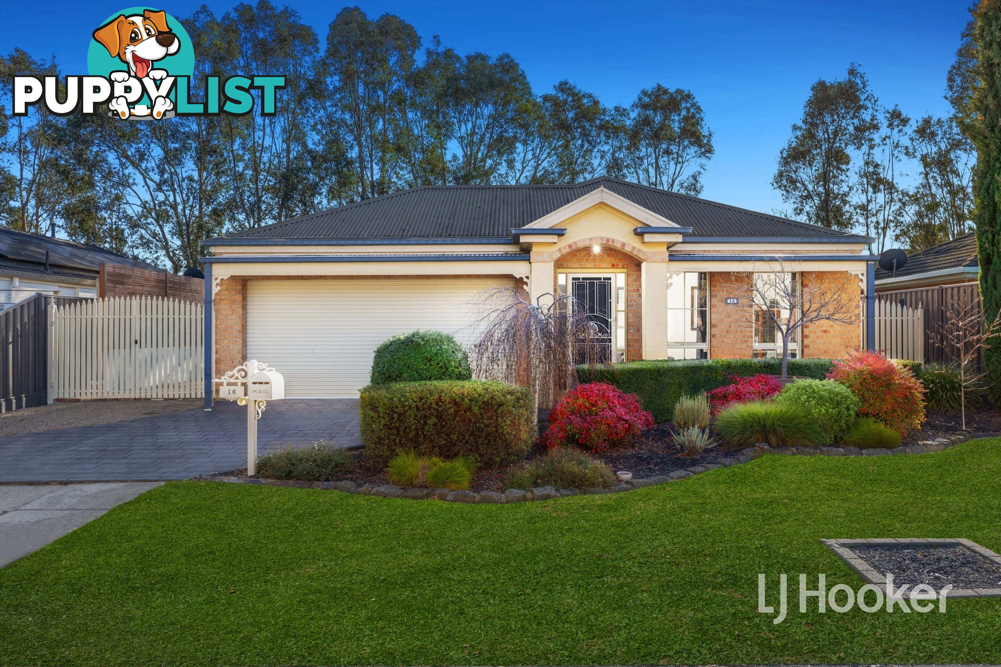 16 Dutton Close LYNBROOK VIC 3975