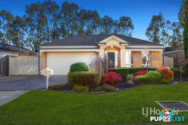 16 Dutton Close LYNBROOK VIC 3975