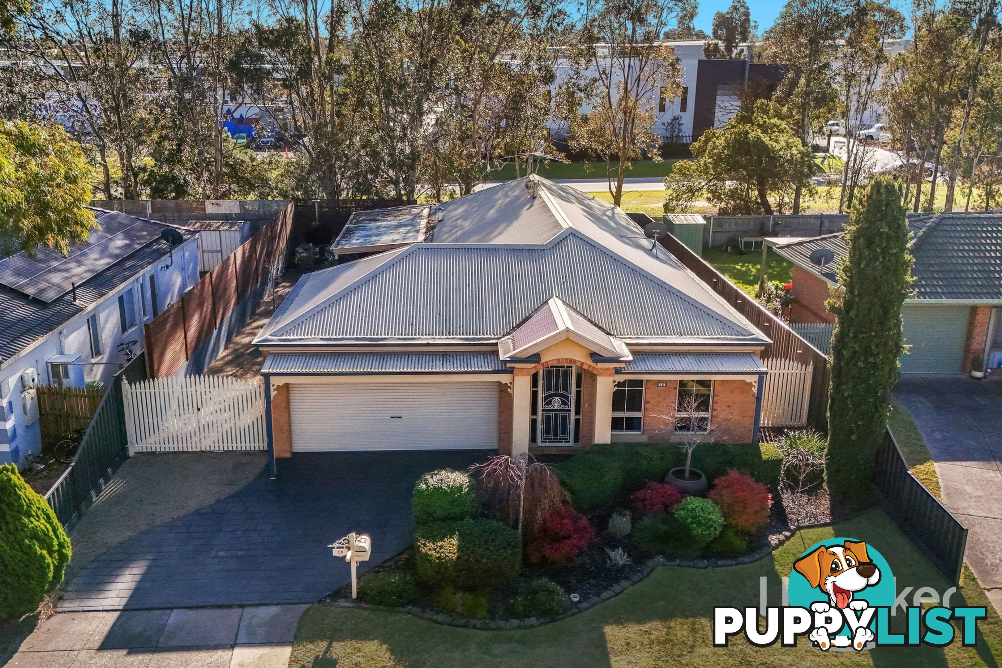 16 Dutton Close LYNBROOK VIC 3975
