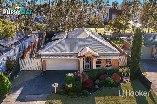 16 Dutton Close LYNBROOK VIC 3975