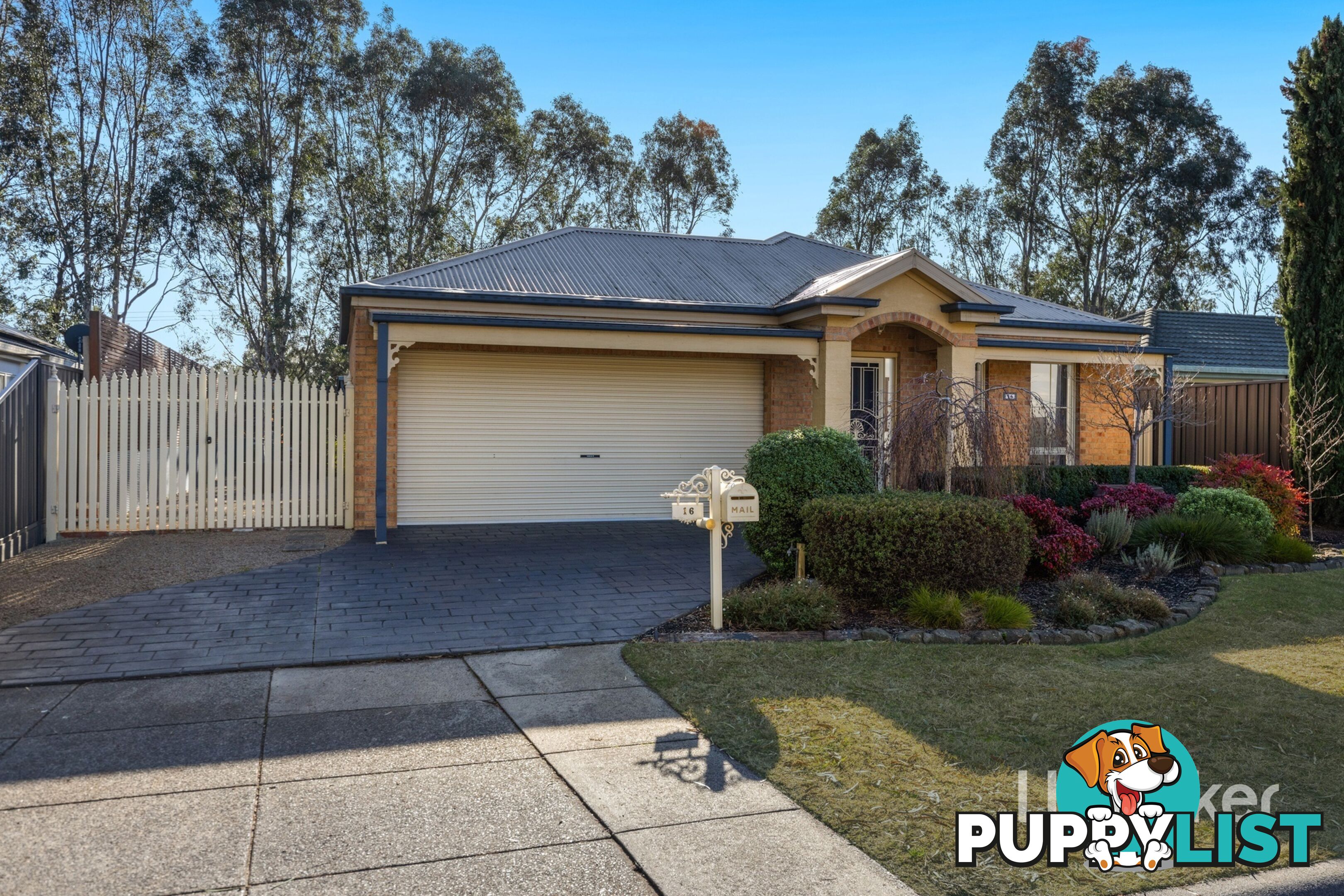 16 Dutton Close LYNBROOK VIC 3975