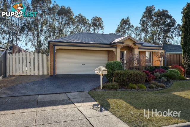 16 Dutton Close LYNBROOK VIC 3975