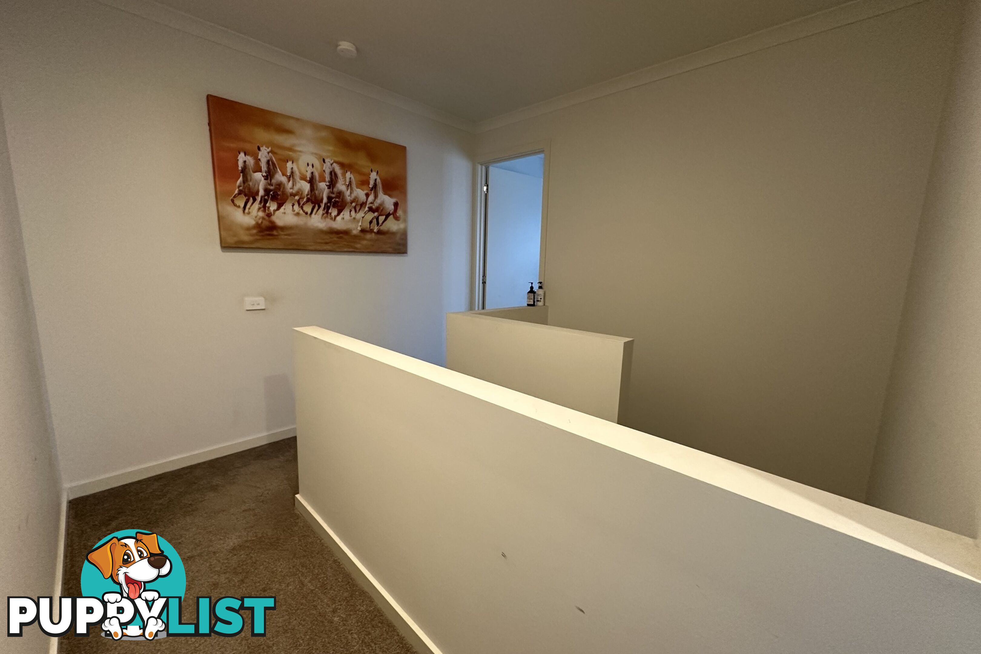 123 Willow Glen Boulevard CRANBOURNE VIC 3977
