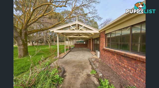 34 Collison Road CRANBOURNE EAST VIC 3977