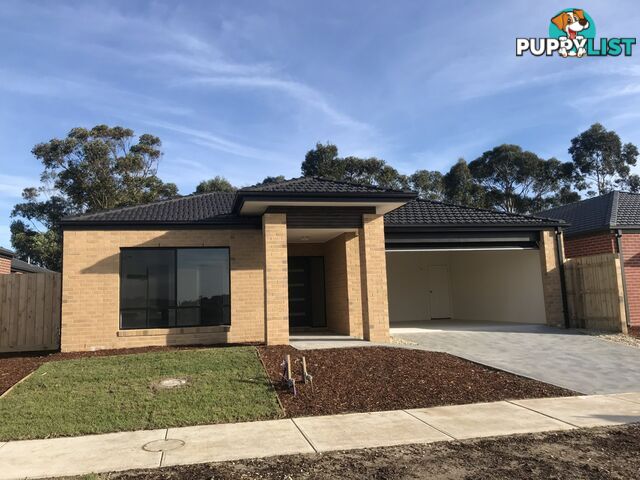 104 Fiorelli Boulevard CRANBOURNE EAST VIC 3977