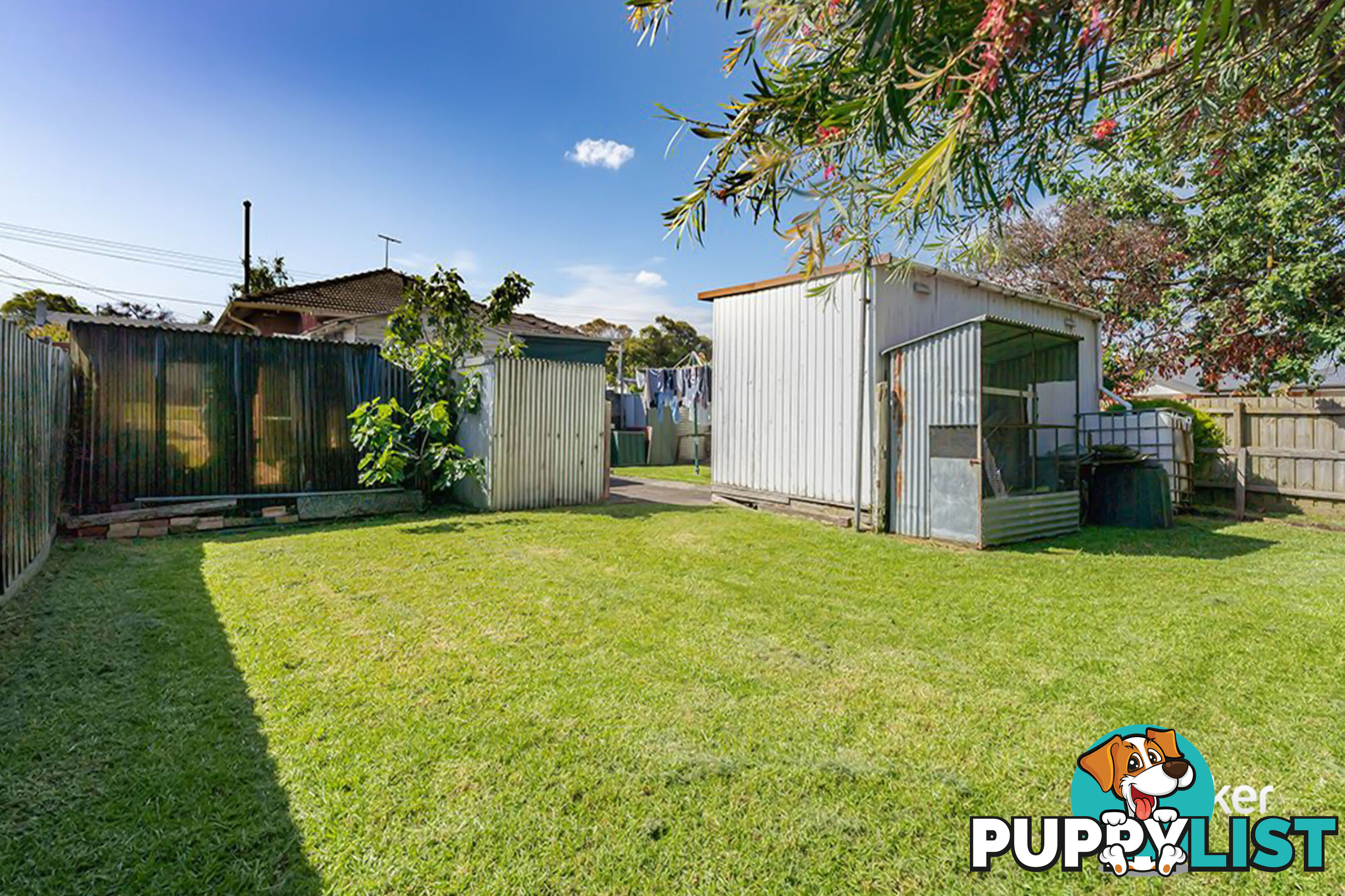 51 Paperbark Street DOVETON VIC 3177