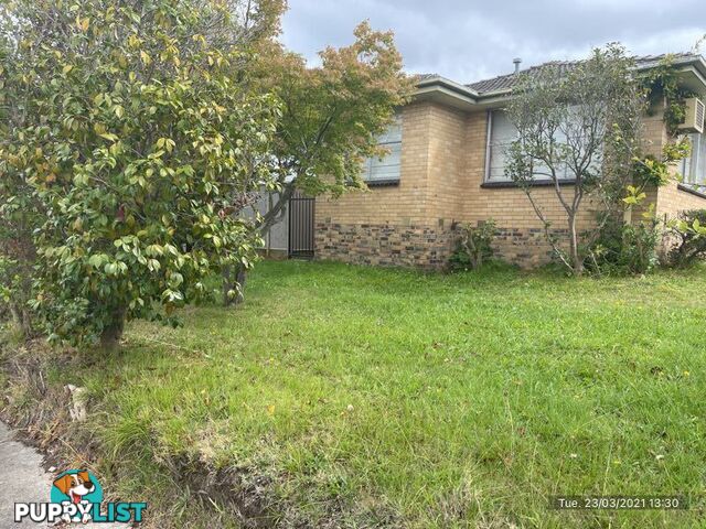 1/56 Oakwood Avenue DANDENONG NORTH VIC 3175