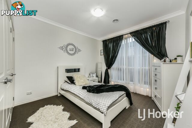 10 Papillion Way NARRE WARREN SOUTH VIC 3805