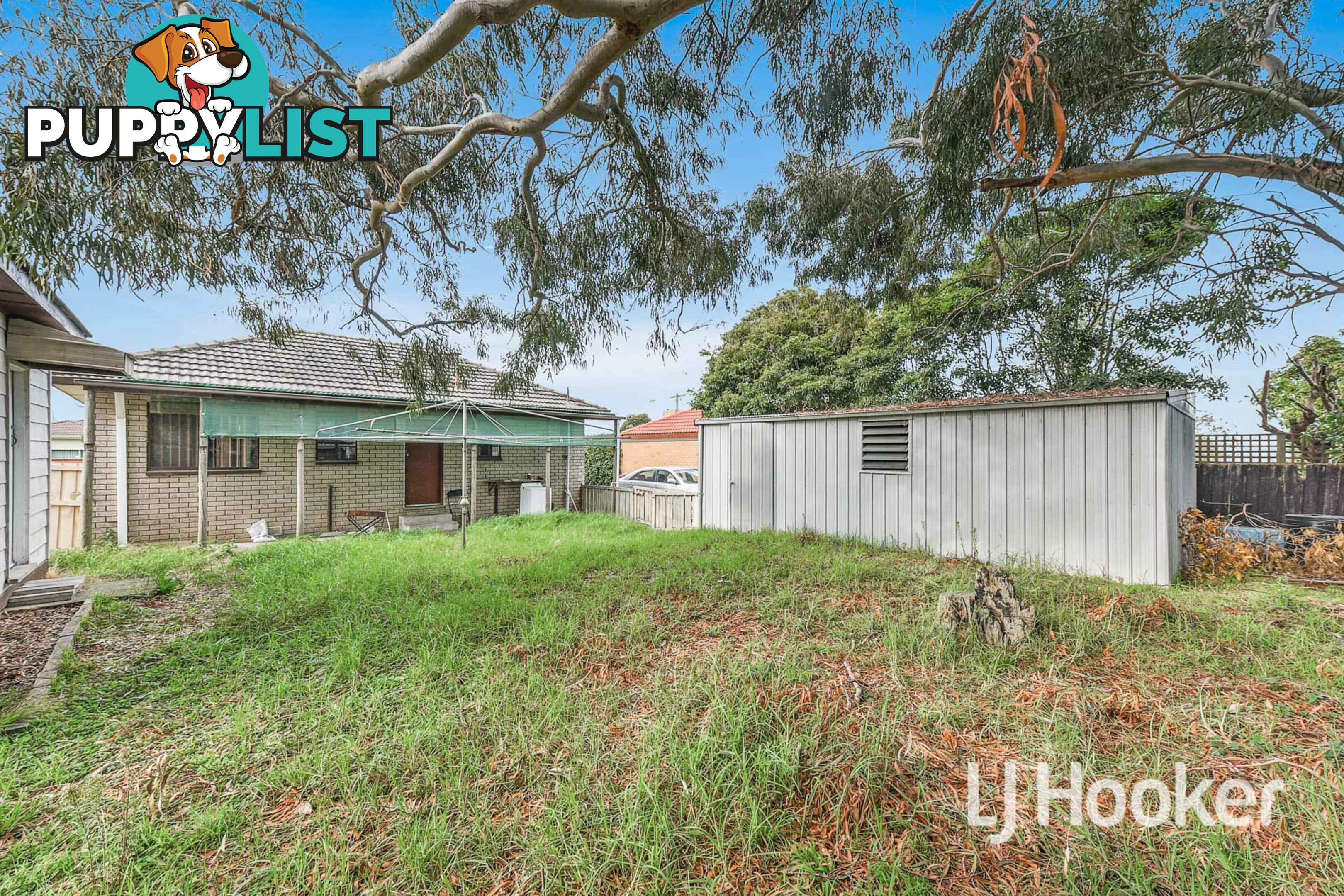 11 William Avenue HALLAM VIC 3803