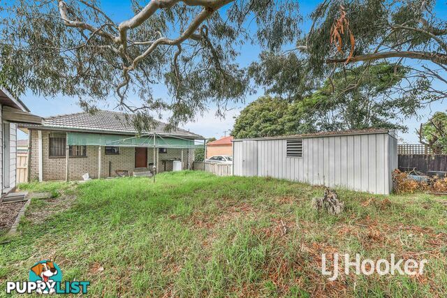 11 William Avenue HALLAM VIC 3803