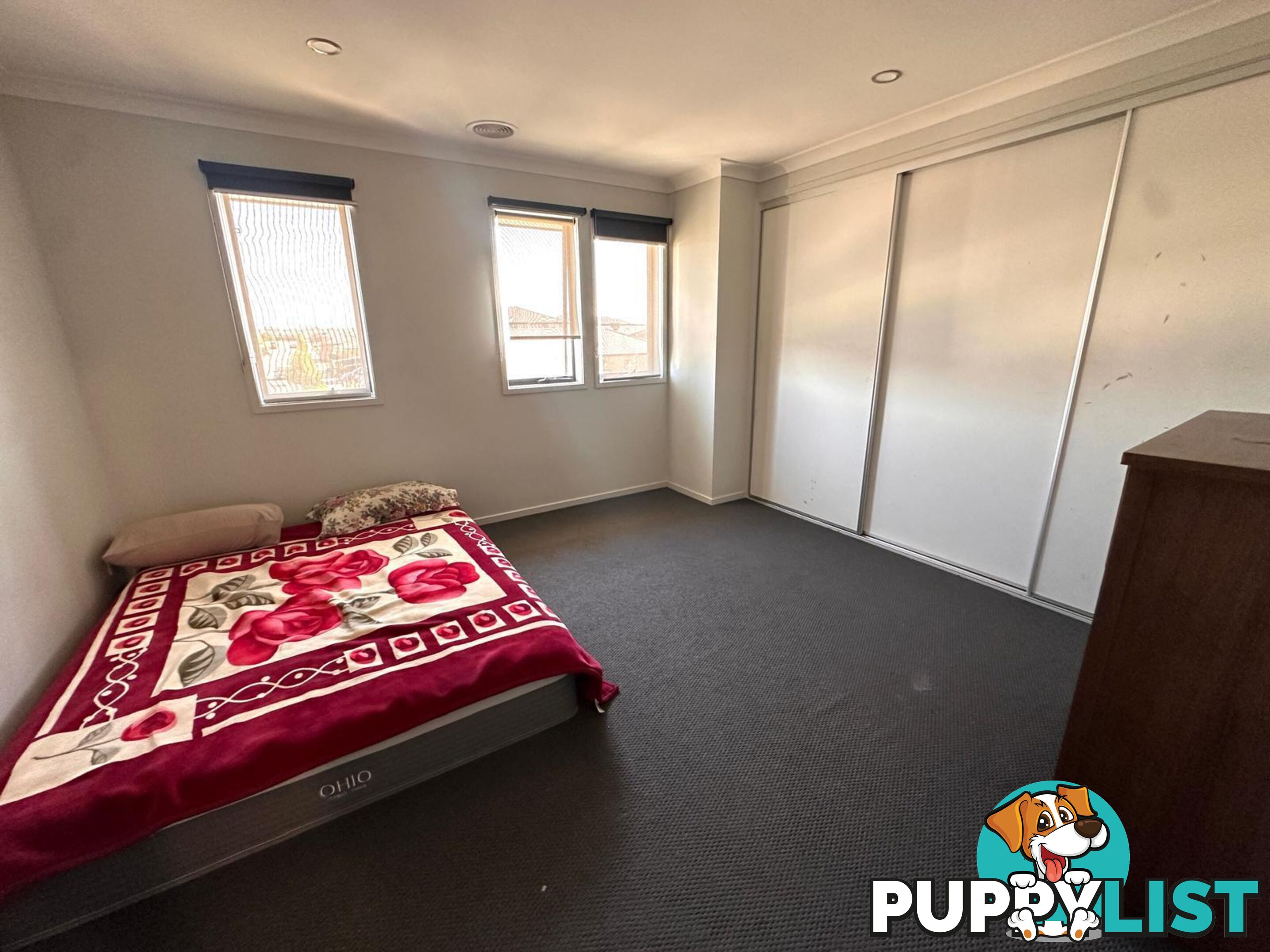 198 Morison Road CLYDE VIC 3978
