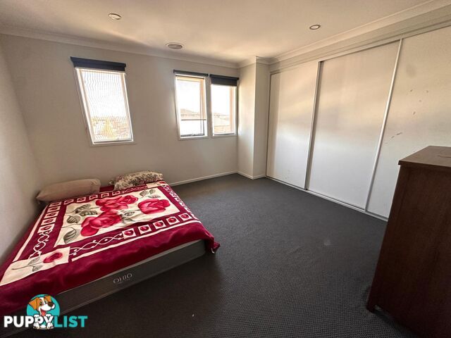 198 Morison Road CLYDE VIC 3978
