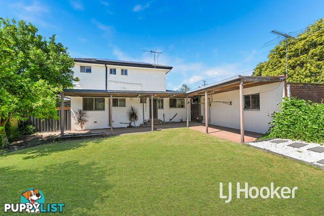 3 Winnima Avenue HAMPTON PARK VIC 3976