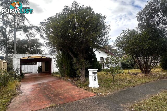 38 Green Valley Crescent HAMPTON PARK VIC 3976