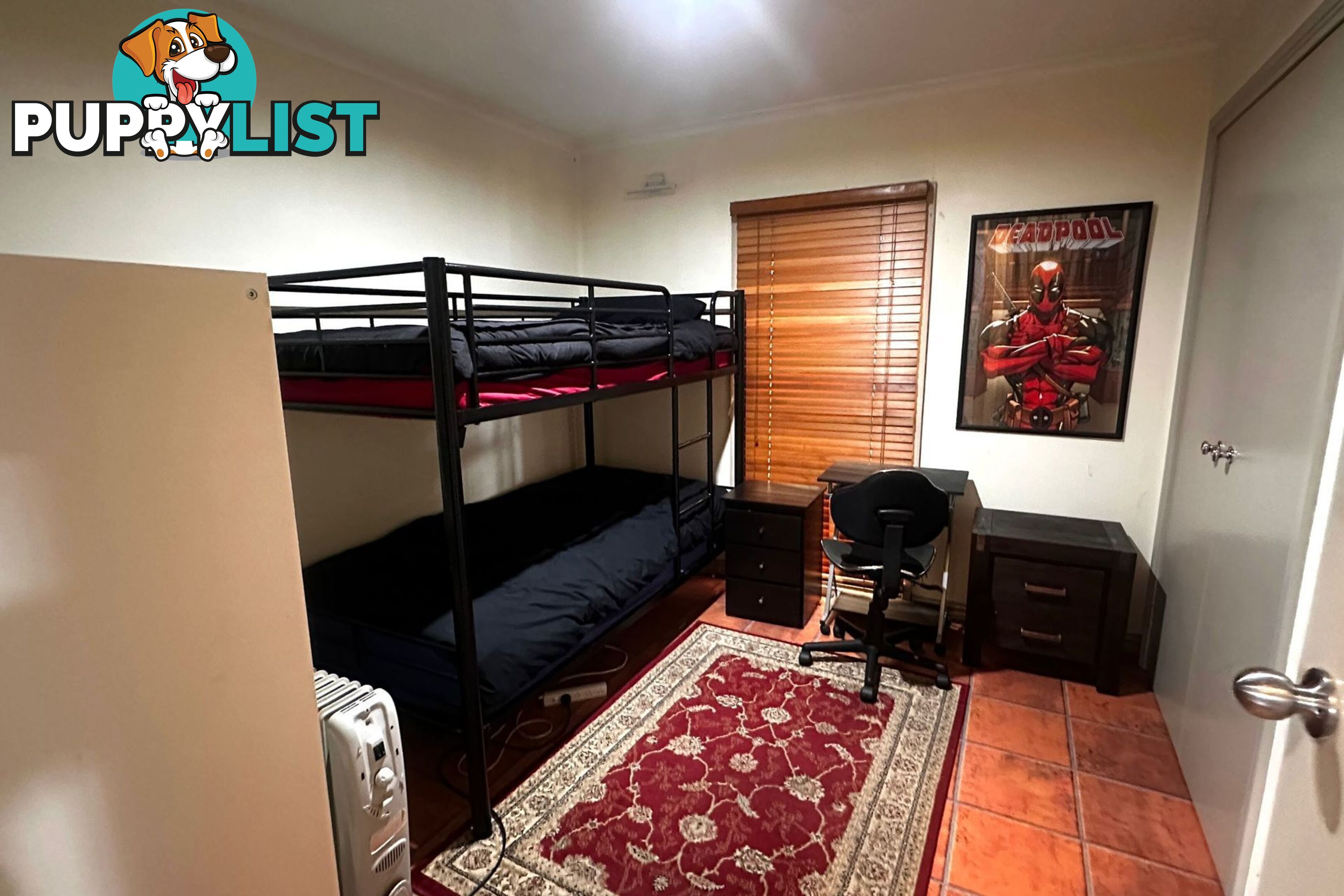 38 Green Valley Crescent HAMPTON PARK VIC 3976