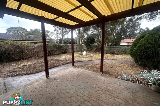 38 Green Valley Crescent HAMPTON PARK VIC 3976