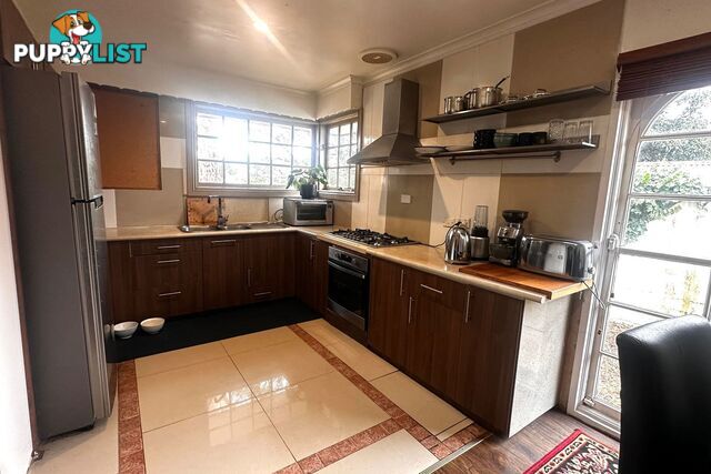 38 Green Valley Crescent HAMPTON PARK VIC 3976