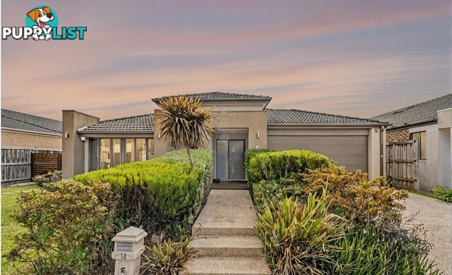 14 Jianni Way BERWICK VIC 3806