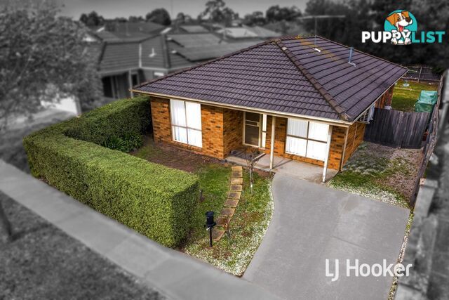 25 Bellbrae Crescent CRANBOURNE WEST VIC 3977