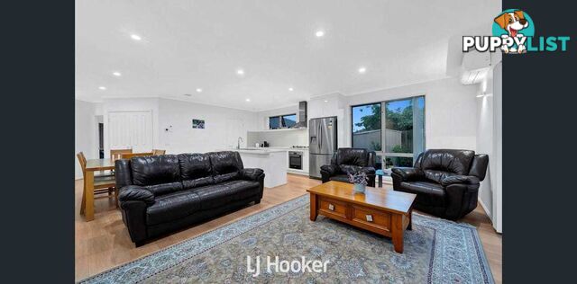 5A Dianna Court HAMPTON PARK VIC 3976