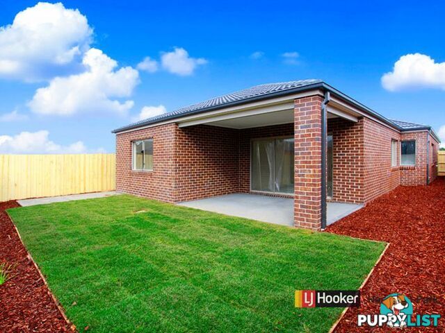 . Corvette Avenue CRANBOURNE EAST VIC 3977