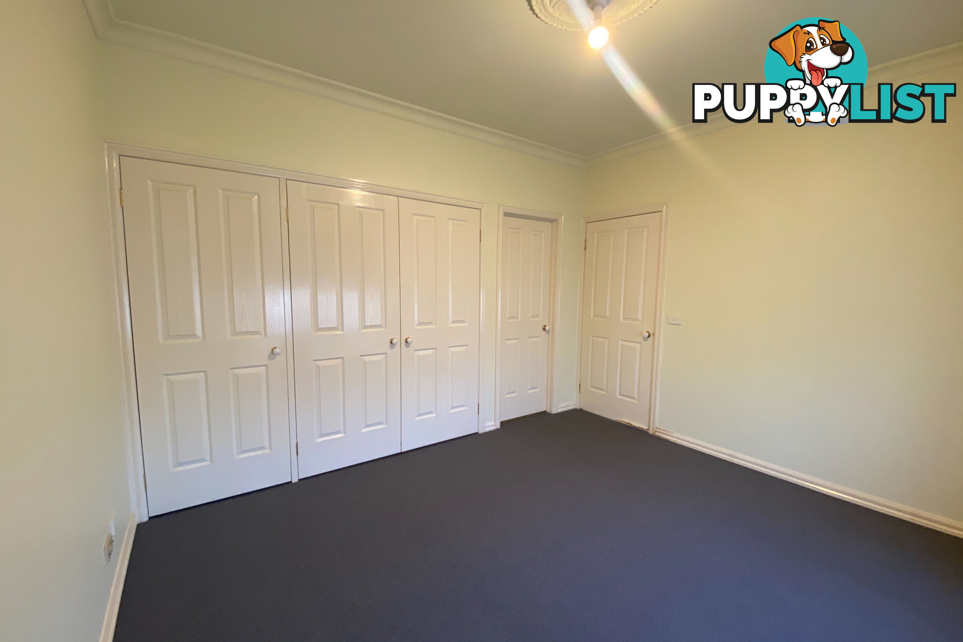 6 Pedley Way LYNBROOK VIC 3975
