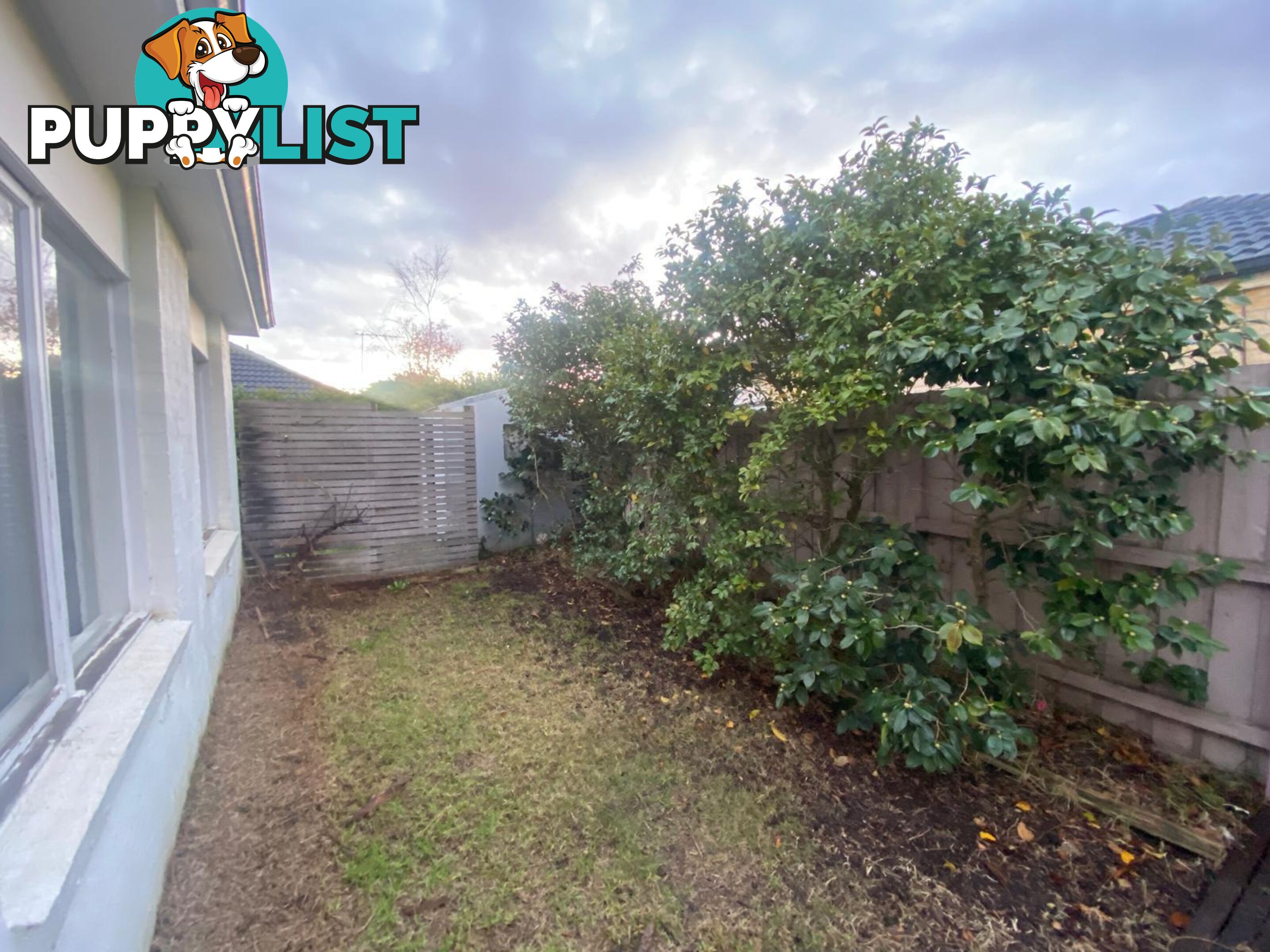 6 Pedley Way LYNBROOK VIC 3975
