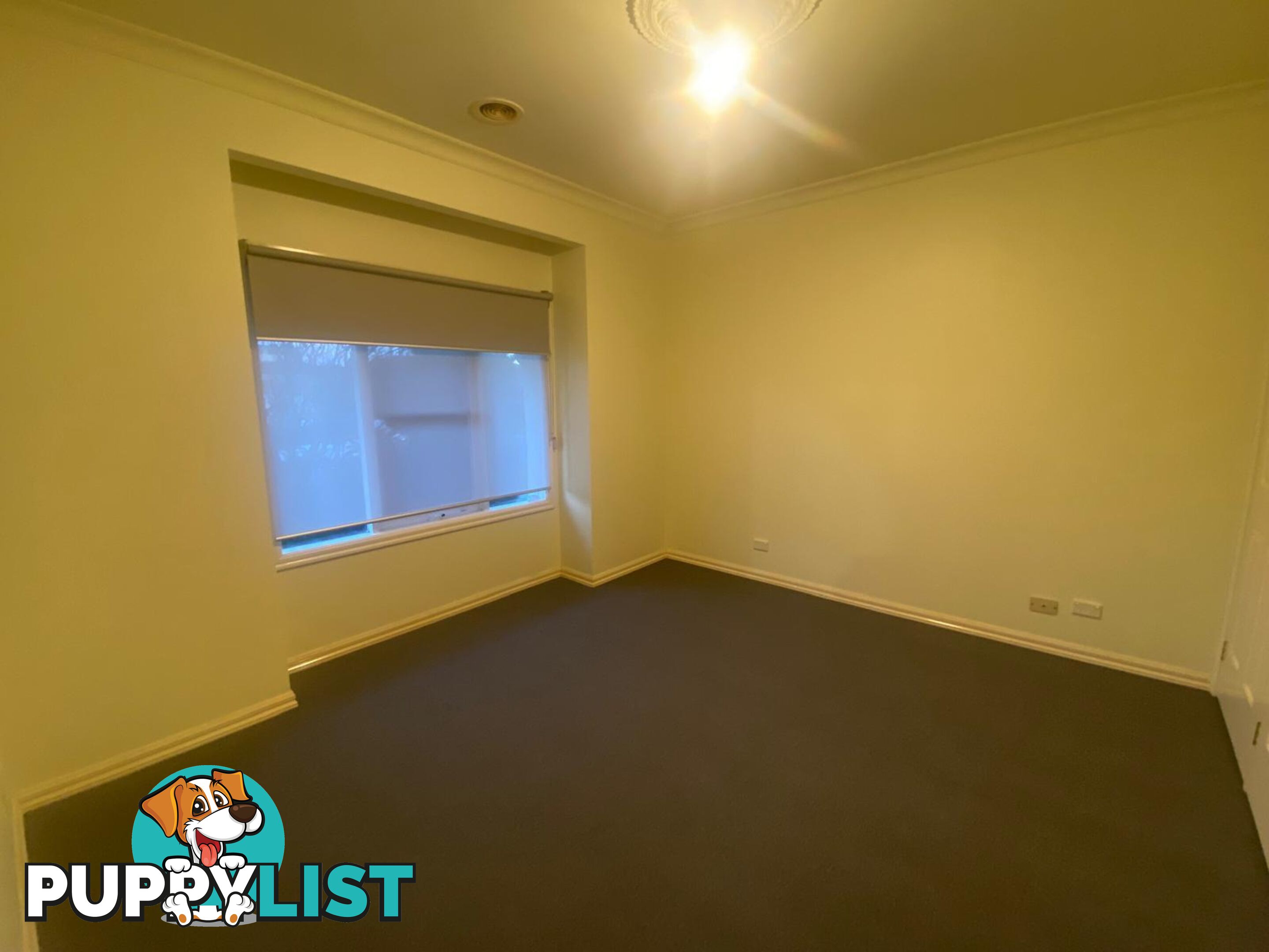6 Pedley Way LYNBROOK VIC 3975