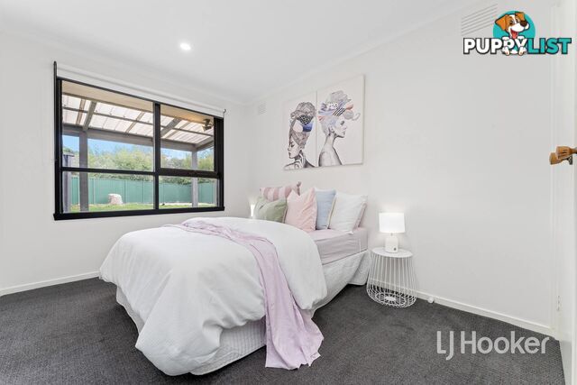 13 Robinson Crescent HAMPTON PARK VIC 3976