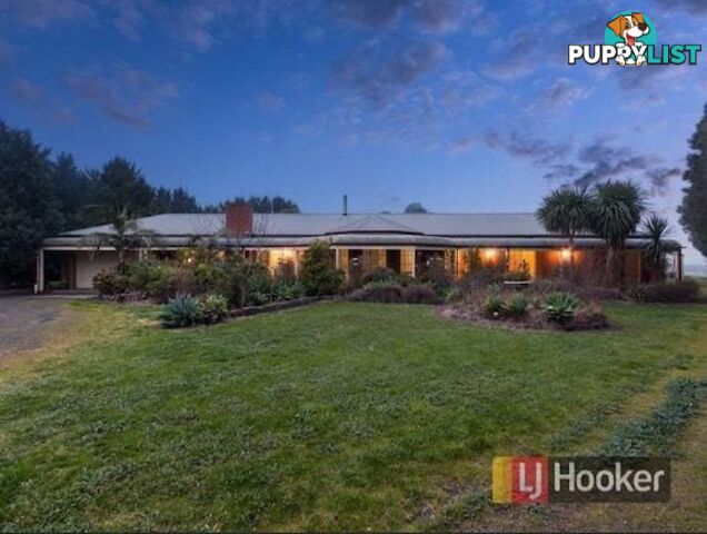 38 Collison Road CRANBOURNE EAST VIC 3977