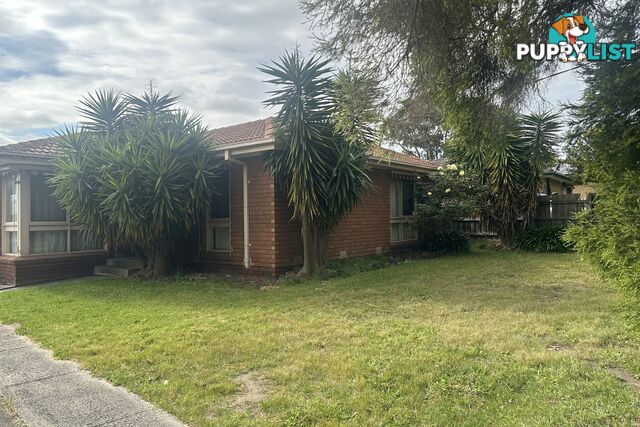14 Winnima Avenue HAMPTON PARK VIC 3976