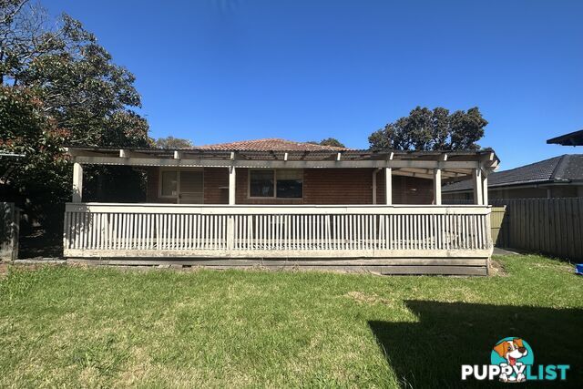 14 Winnima Avenue HAMPTON PARK VIC 3976