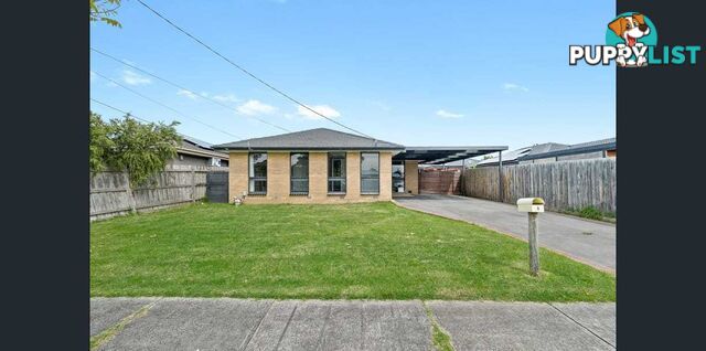 6 Ardmore Street CRANBOURNE VIC 3977